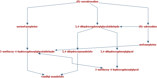 Cell Cycle