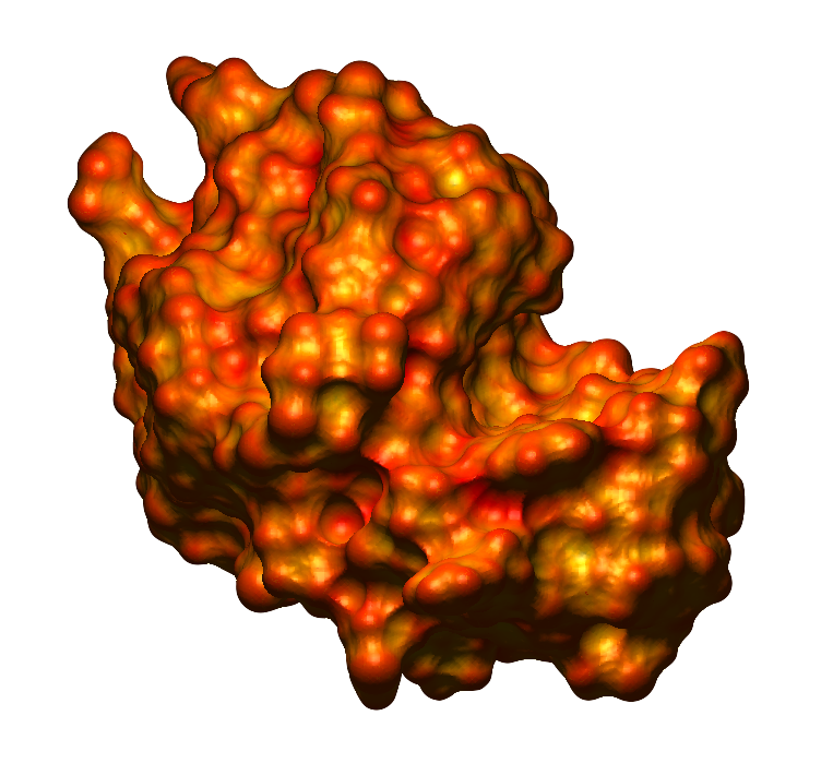 Lysozyme surface 1gxv