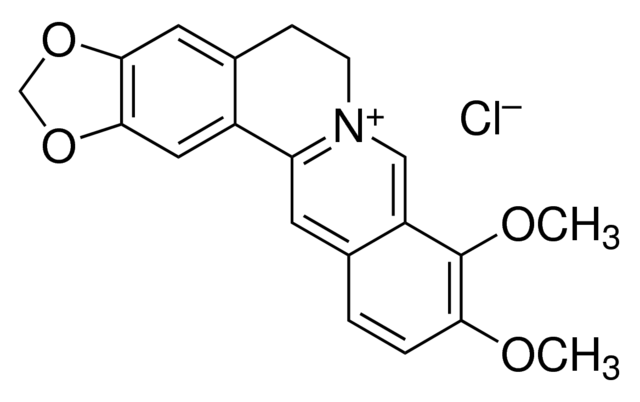 berberine