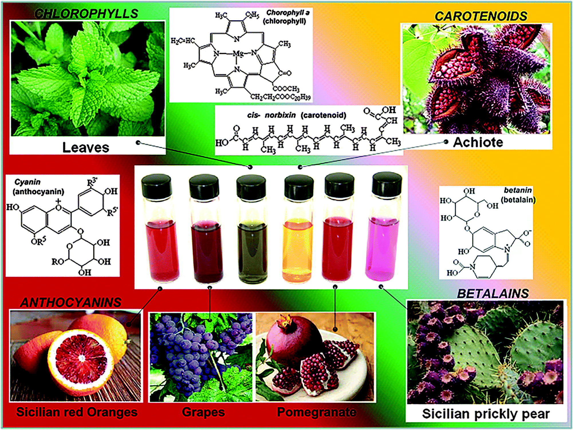 sources of natural dyes