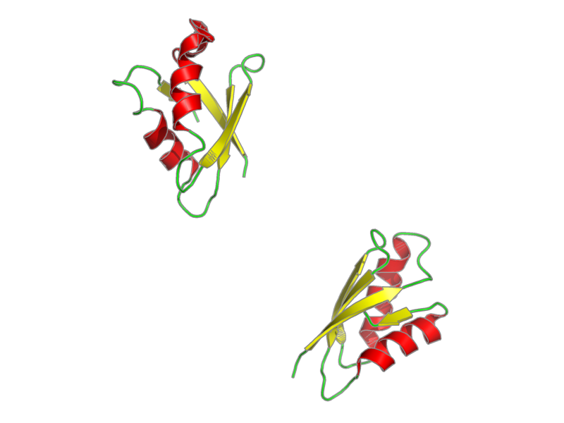 Ribbon image for 2rop