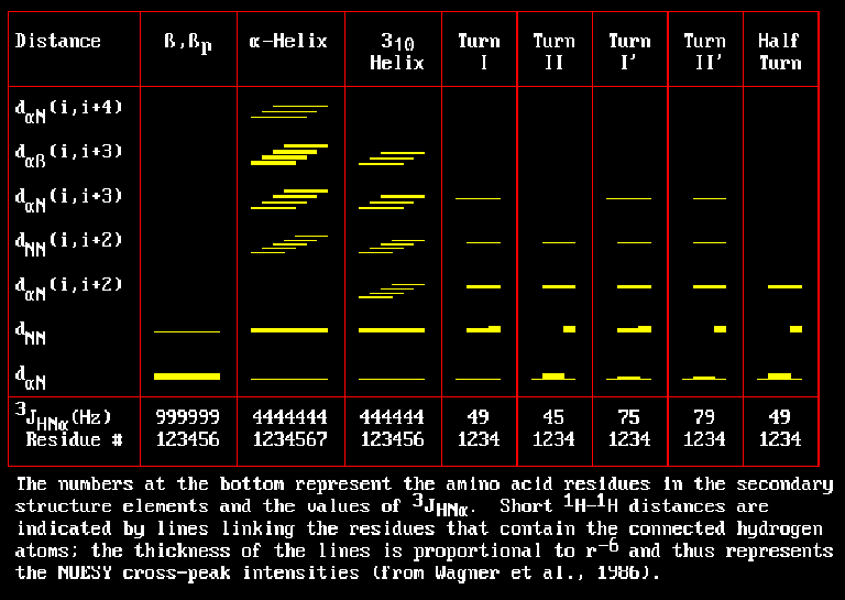 NOE backbone graph